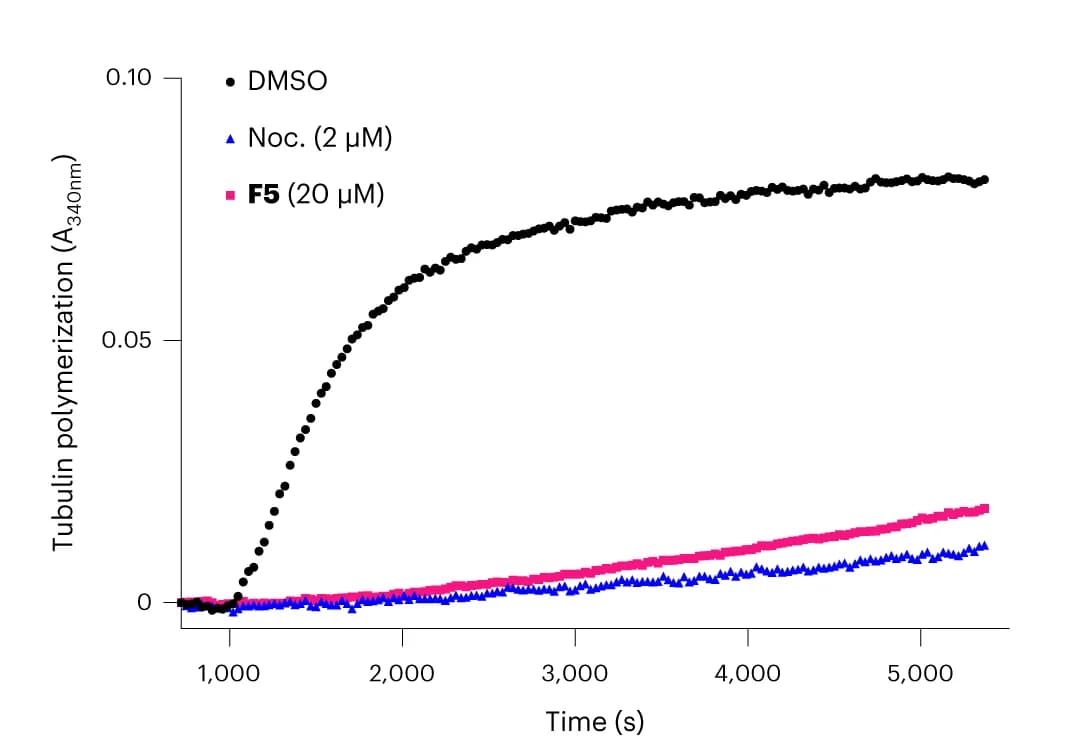 Open access visualization of Line Plot, In Vitro, Tubulin Polymerization Assay, Guanosine Triphosphate, Porcine Tubulin