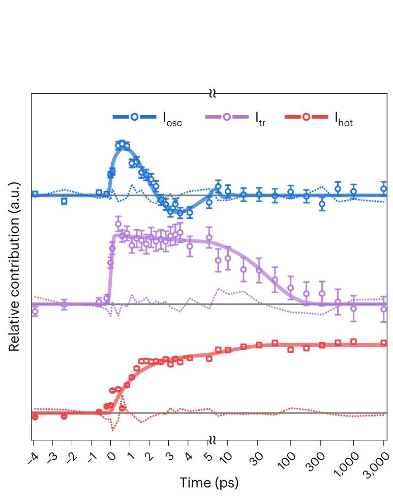 Open access visualization of Line Plot, Error Bars, Time Profiles, SADED Maps, Kinetic Model