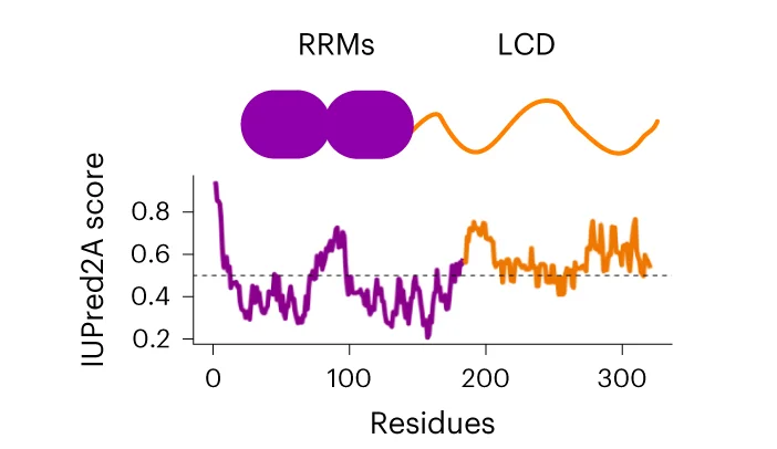 Open access visualization of Line Plot, Illustration, hnRNPA1A, RRM, LCD