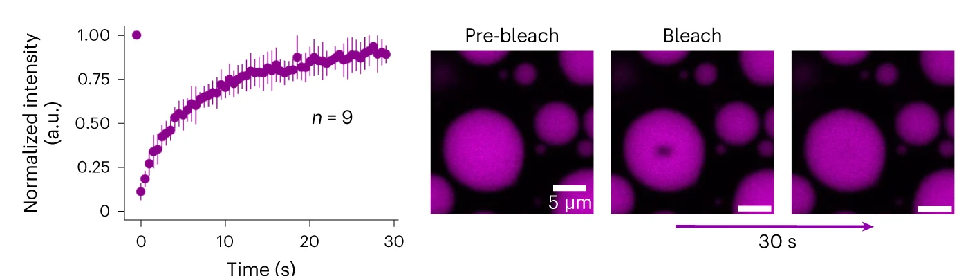 Open access visualization of Line Plot, Error Bars, Microscopy, FRAP, Condensates