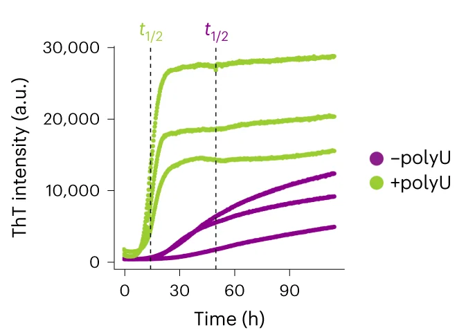 Open access visualization of Line Plot, ThT Aggregation, hnRNPA1A, NaCl, Protein Condensation