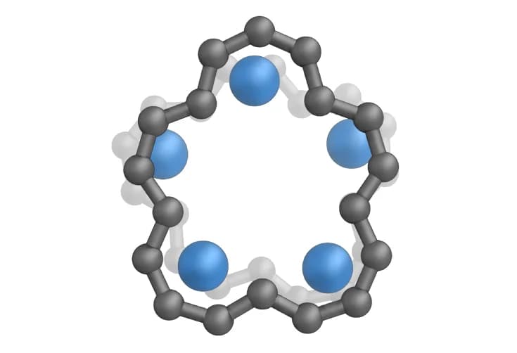 Open access visualization of Chemical Structure, Sandwich Part, Top View, Molecular Structure