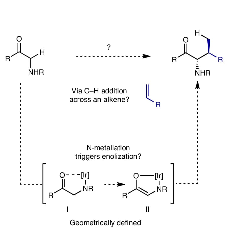 Open access visualization of Workflow, Chemical Structure, Enolization, C-H Addition, Glycine