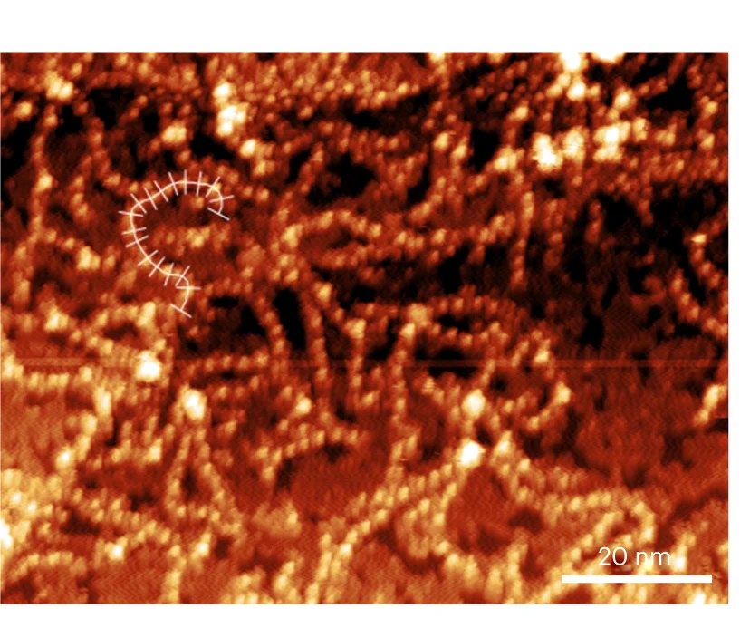 Open access visualization of Microscopy, STM, Topograph, PPa, Toluene
