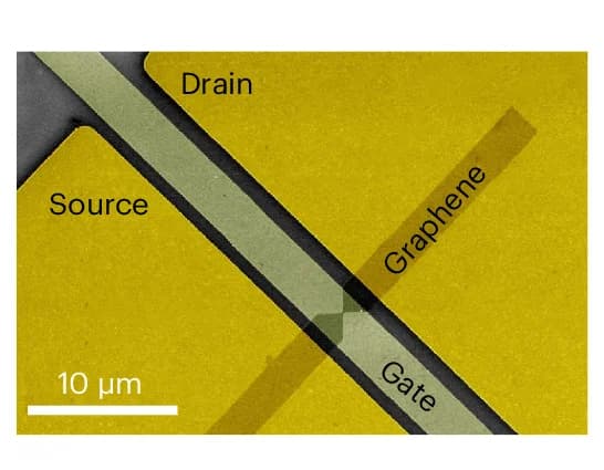 Open access visualization of Microscopy, Scanning Electron Image, Pads, Graphene Electrodes, Gate