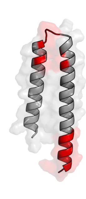 Open access visualization of Protein Structure, Truncated Peptide, Phosphoesterase Activity, Helix-Turn-Helix Motif, Mini-cAMPase