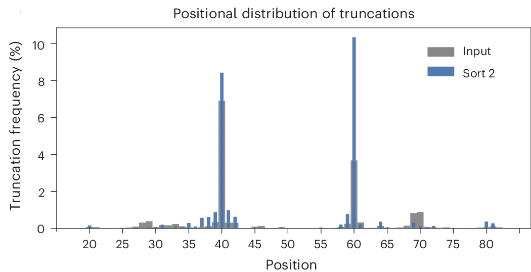 Open access visualization of Bar Plot, Clustered, Truncations, Sequenced Position, Input Library