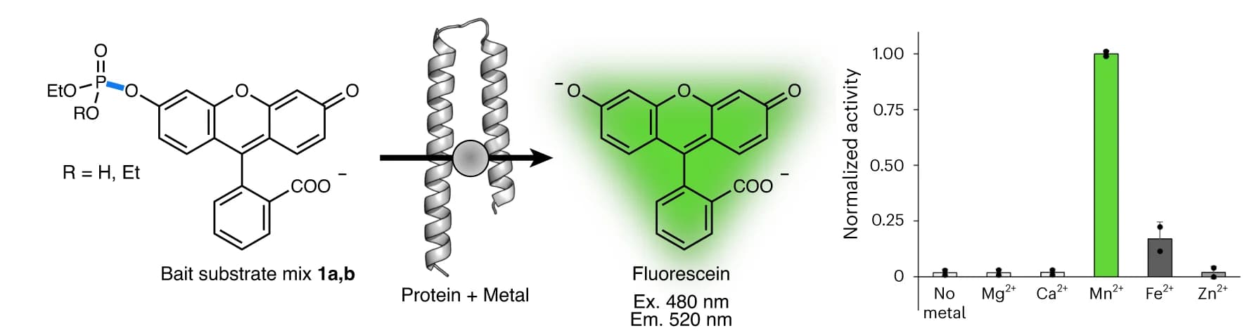 Open access visualization of Bar Plot, Error Bars, Chemical Structure, Enzymatic Reaction, Fluorogenic Bait Substrates