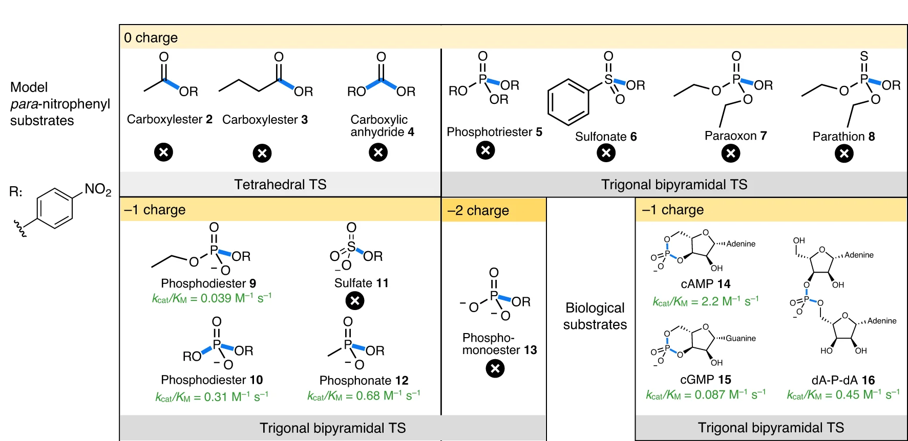 Open access visualization of Chemical Structure, Substrates, Ground-State Charges, Transition-State Geometries, Mini-cAMPase