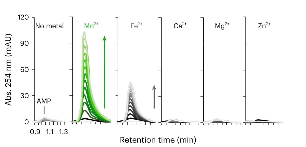 Open access visualization of Line Plot, Density Plot, Mini-cAMPase, Metal Dependence, Spectral Scans