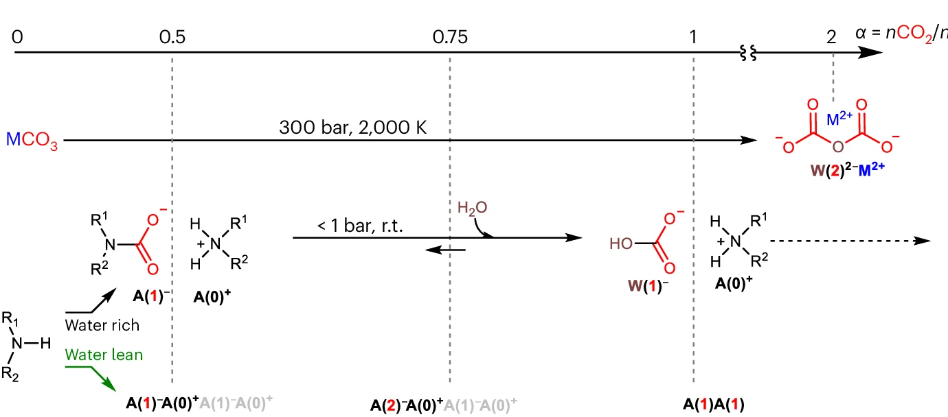 Open access visualization of Workflow, Illustration, CO2 Capture, Ammonium Carbamate, Ammonium Carbonate