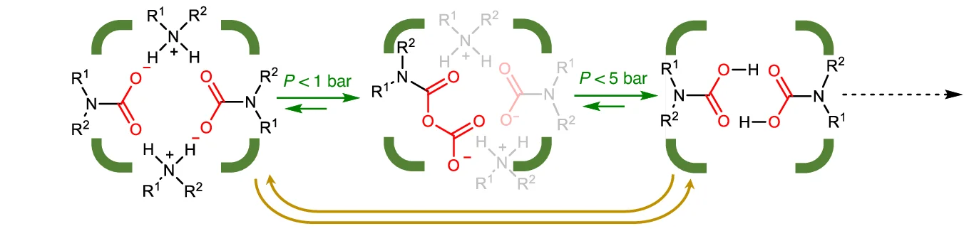 Open access visualization of Workflow, Flowchart, Chemical Structure, MOF, Anhydride