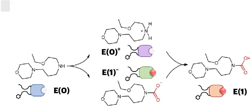 Open access visualization of Workflow, Illustration, Loading Process, E(0), CO2