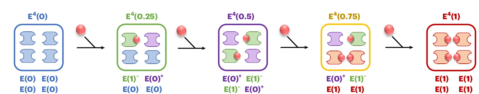 Open access visualization of Workflow, Notation, Schematic Representation, Oligomers, Monomeric Constituents