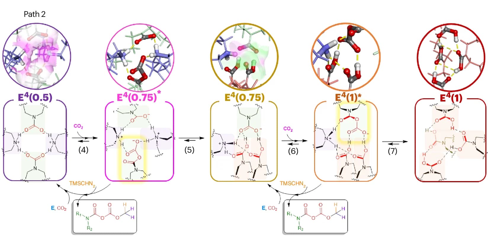 Open access visualization of Workflow, Illustration, Chemical Structure, Mechanistic Pathway, Carbamic Anhydride