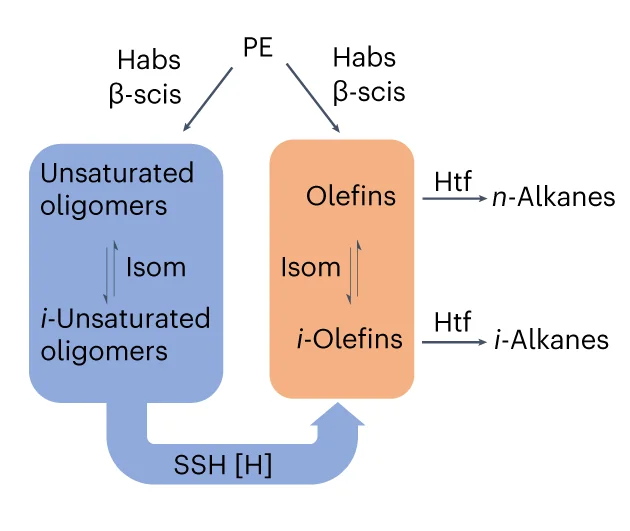 Open access visualization of Workflow, Flowchart, Illustration, Polyethylene Depolymerization, SSH Pathway