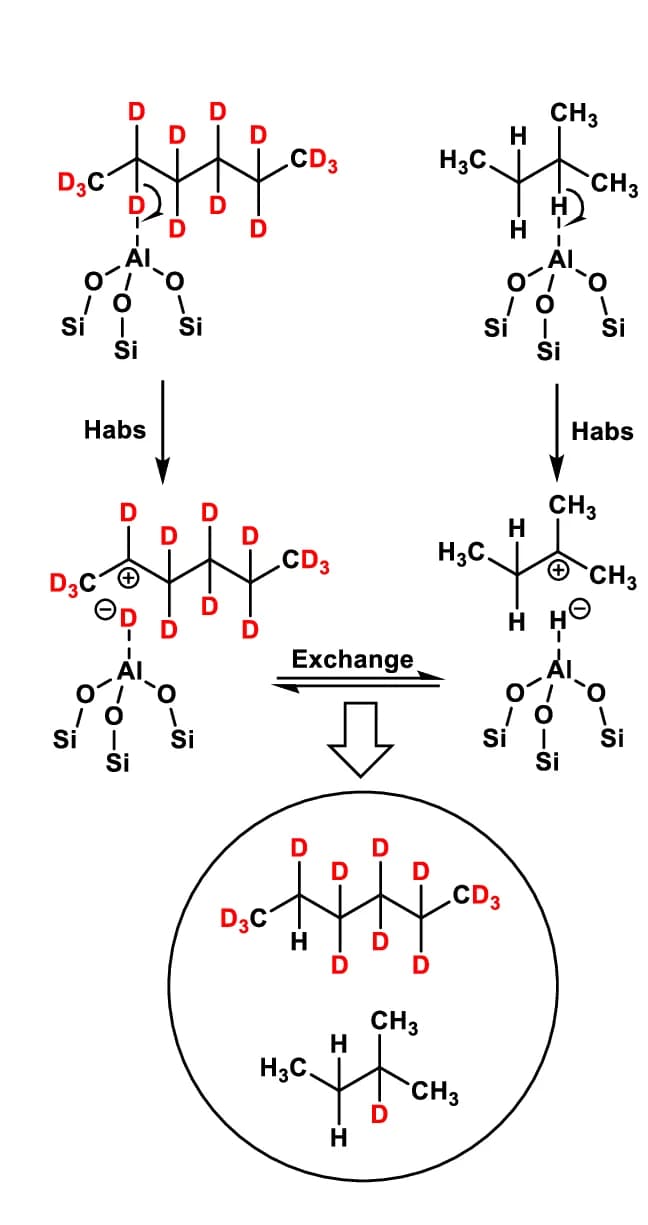 Open access visualization of Chemical Structure, Scheme, i-C 5 H 12, C 6 D 14, Hydride Transfer Reactions