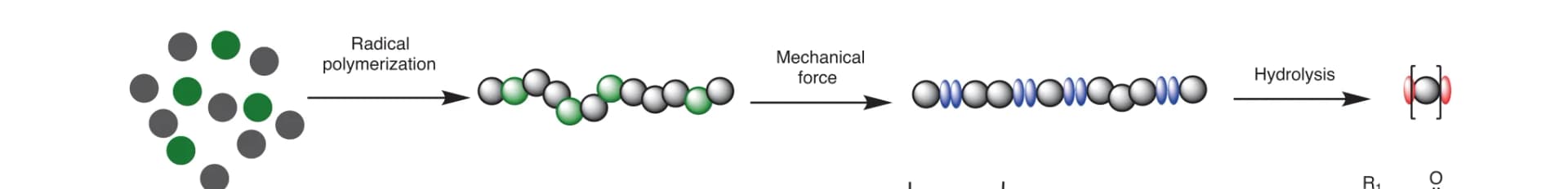 Open access visualization of Workflow, Illustration, Polymers, Monomers, Radical Polymerizations
