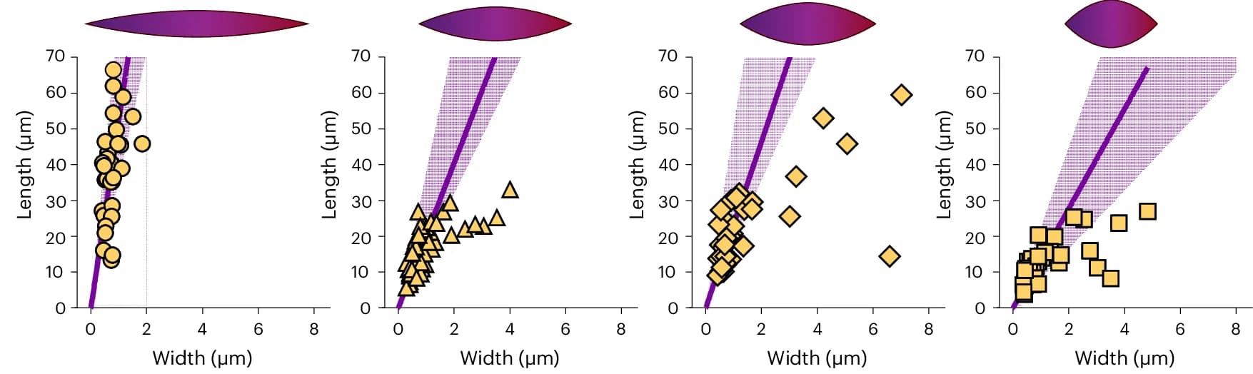 Open access visualization of Scatter Plot, Regression Plot, Bundle Length, Bundle Width, Linear Fits