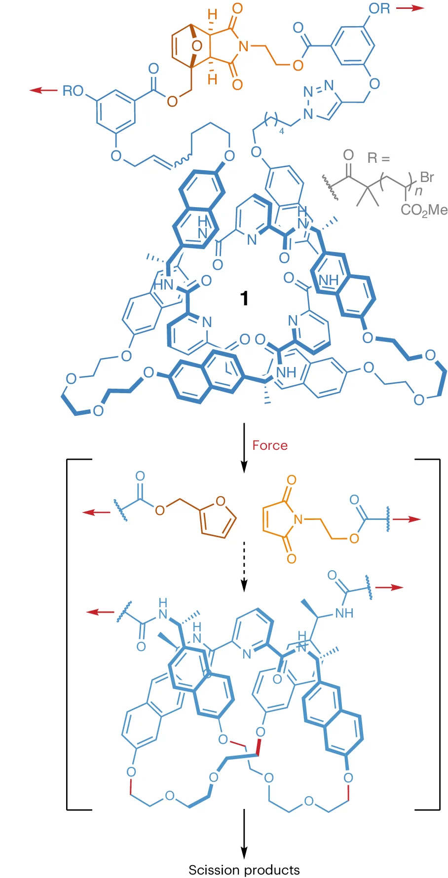 Open access visualization of Chemical Structure, Workflow, Scission, Knot, Force