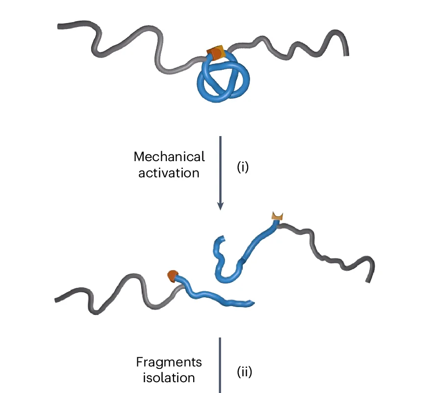 Open access visualization of Workflow, Illustration, Mechanical Activation, Knot, Fragments