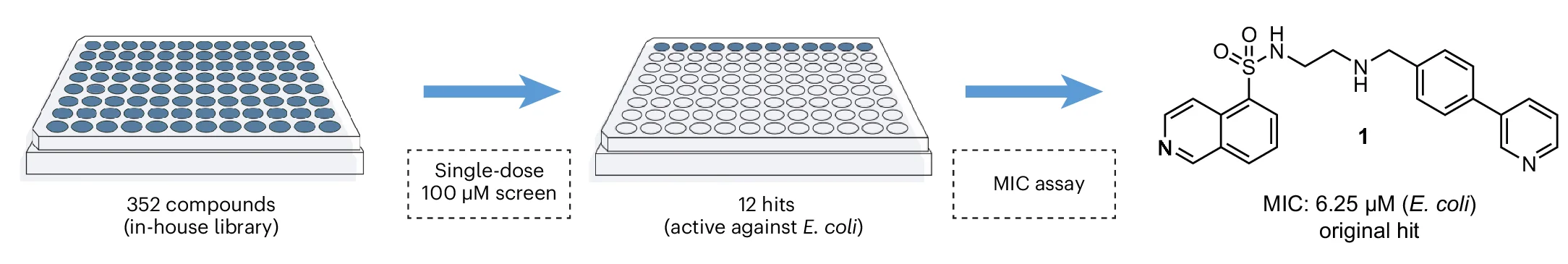 Open access visualization of Workflow, Chemical Structure, Library Screen, Compounds, MIC Assays