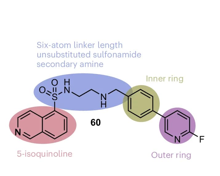 Open access visualization of Chemical Structure, SAR, Isoquinoline, Linker, Inner Ring