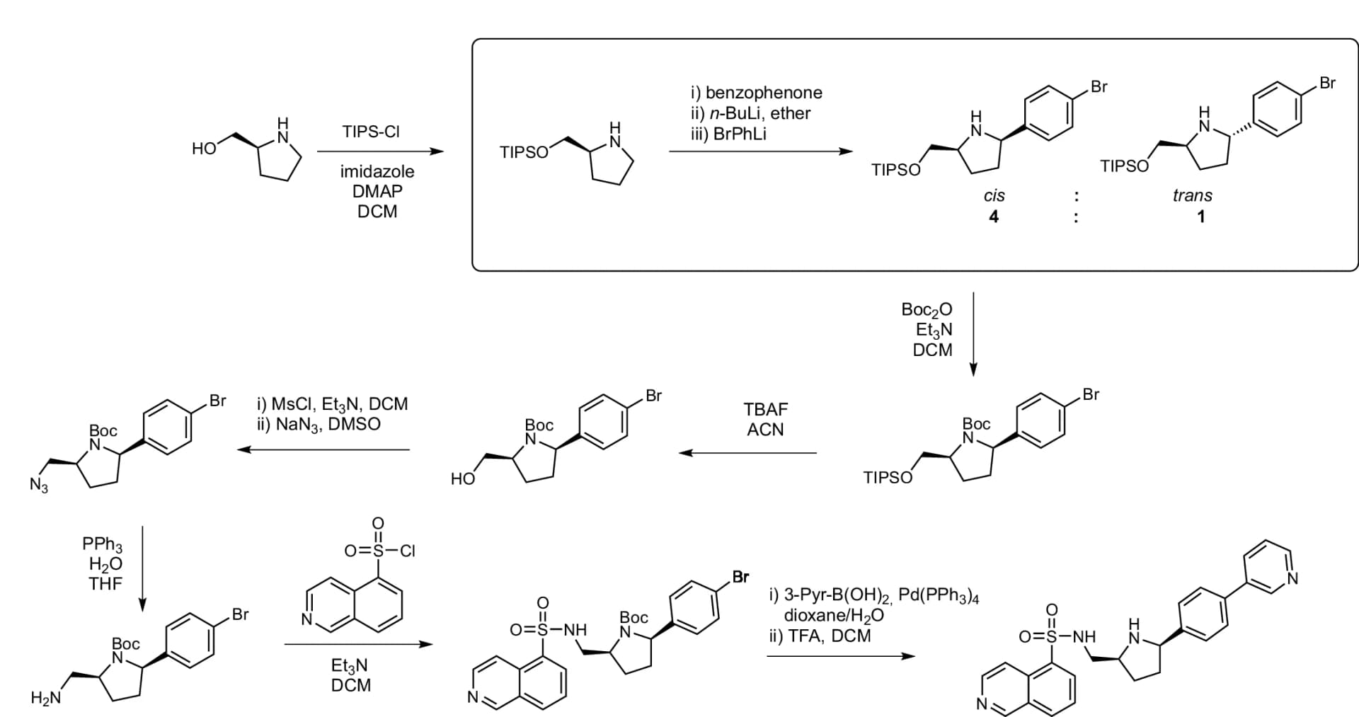 Open access visualization of Workflow, Chemical Structure, Illustration, Synthetic Route, Isoquinoline Sulfonamide