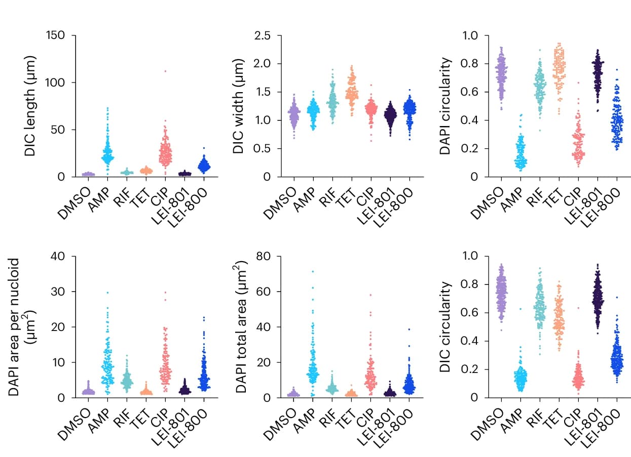 Open access visualization of Scatter Plot, Graphs, BCP Microscopy, Image Analysis, Bacteria