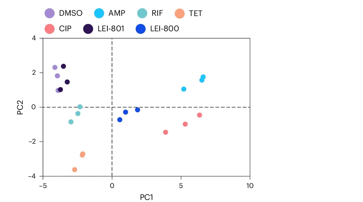 Open access visualization of Scatter Plot, PCA, PCA Plot, Morphological Features, BCP Experiments