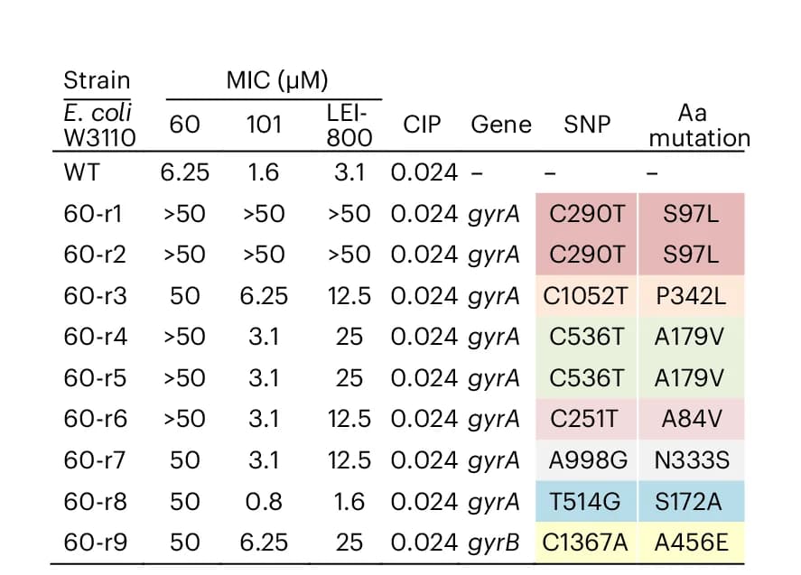 Open access visualization of Table Image, Susceptibility Assays, Resistance, DNA Gyrase, Mutations