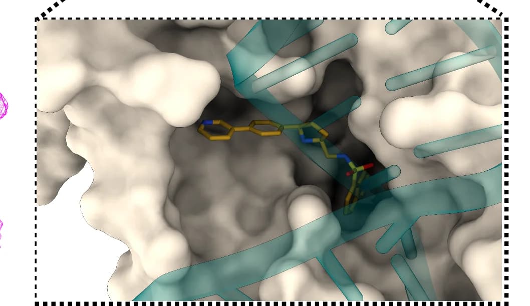 Open access visualization of Protein Structure, Chemical Structure, LEI-800 Binding Pocket, GyrA, DNA