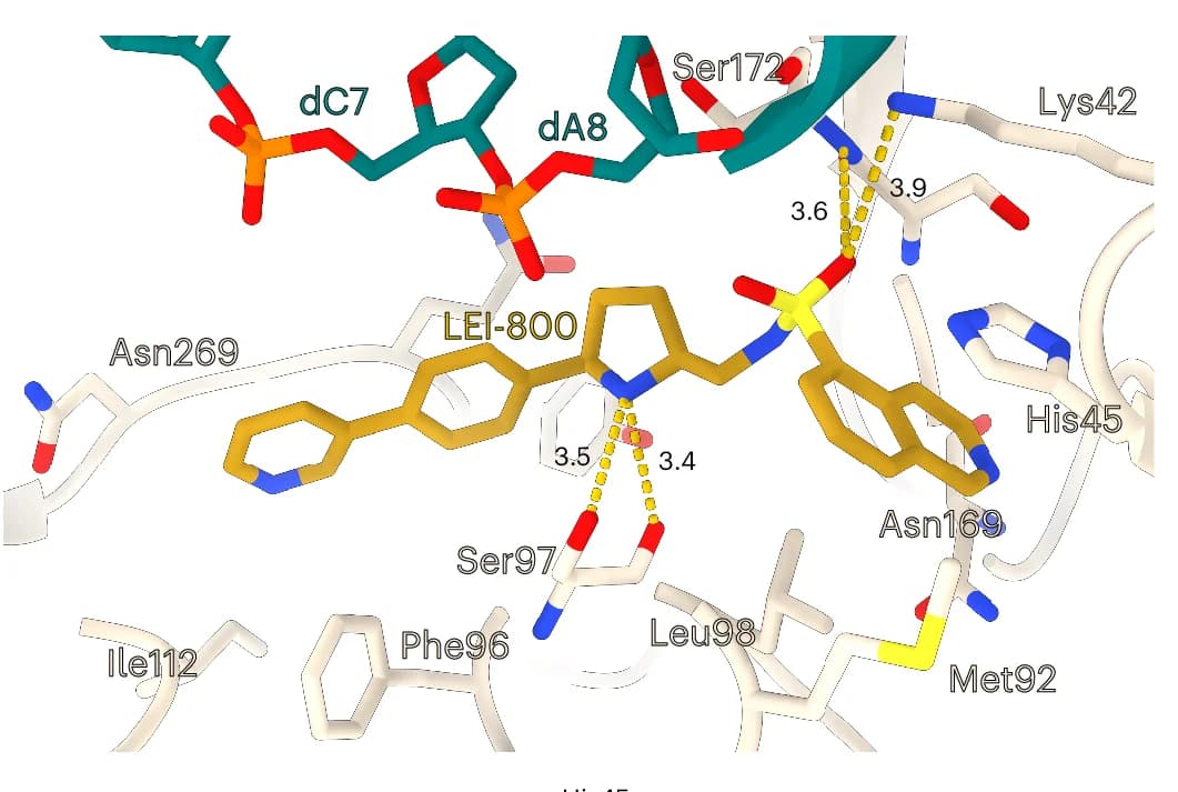 Open access visualization of Protein Structure, Chemical Structure, Molecular Interactions, GyrA, LEI-800