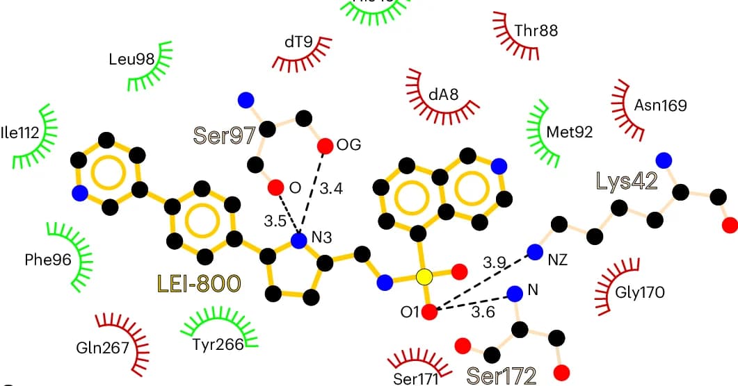 Open access visualization of Chemical Structure, LEI-800, CIP, SD8, GyrA