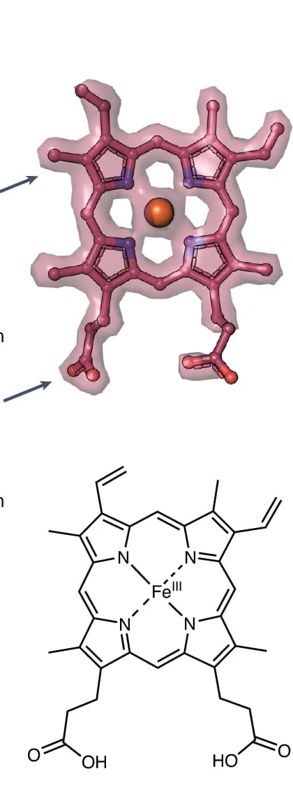 Open access visualization of Protein Structure, Chemical Structure, Electron Density, Ferric Haem B, Prosthetic Group