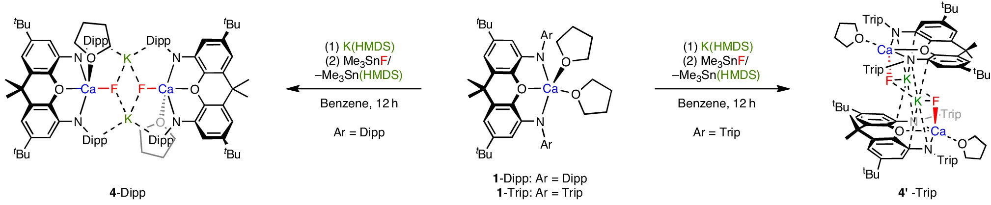 Open access visualization of Chemical Structure, Workflow, Synthesis, Amide, Metathesis