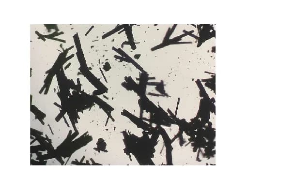 Open access visualization of Microscopy, Photo, Microscopic Photograph, Single Crystals