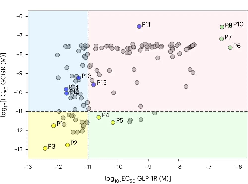 Open access visualization of Scatter Plot, Dual co-agonist compounds, Training-set data, Constructs, Dual potency
