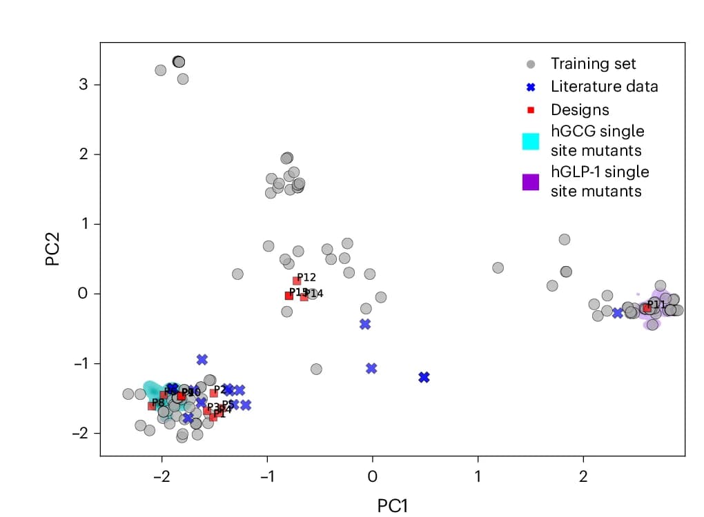 Open access visualization of Scatter Plot, PCA, PCA Projection, Model-Designed Compounds