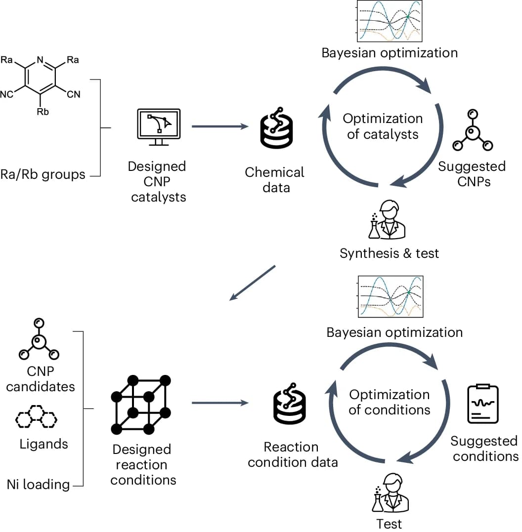 Open access visualization of Workflow, Flowchart, Illustration, Catalyst Selection, Synthesis