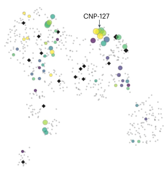 Open access visualization of Scatter Plot, Bubble Plot, UMAP, Chemical Space, CNP Molecules