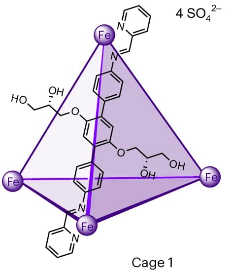 Open access visualization of Chemical Structure, Cage