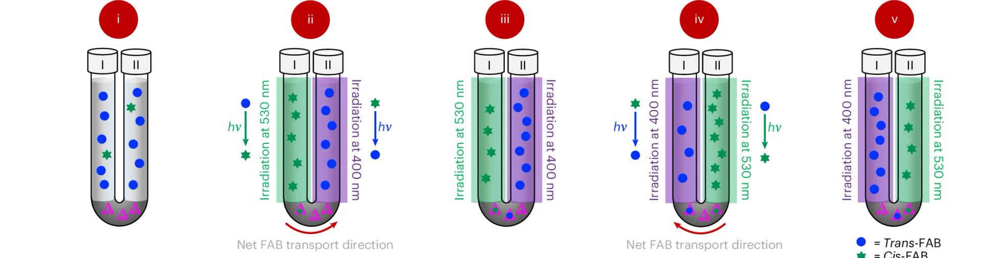 Open access visualization of Workflow, Illustration, U-Tube, cis-FAB, trans-FAB