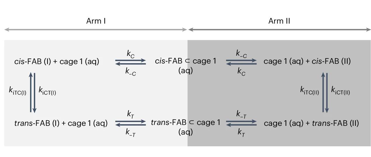Open access visualization of Workflow, Flowchart, Kinetic Model, Rate Constants, cis-FAB