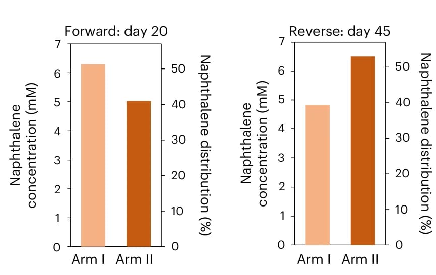 Open access visualization of Bar Plot, Clustered, Naphthalene, Distribution Charts, Forward Process