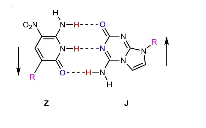 Open access visualization of Chemical Structure, Reverse Watson-Crick Pair, Deoxyribose, Parallel Strands