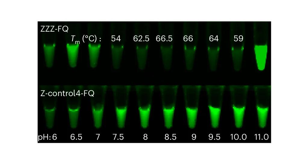 Open access visualization of Gel, Fluorescence, DNA Samples, Phosphate Buffer, pH