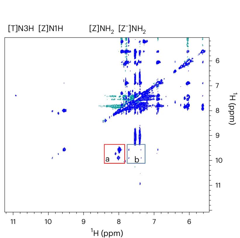 Open access visualization of Scatter Plot, NOESY Spectrum, ZZZ, pH, H 2 O/D 2 O