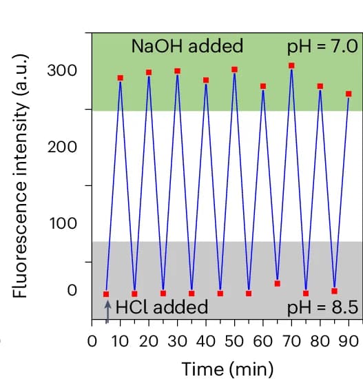 Open access visualization of Line Plot, fZ-motif, Fluorescence Spectroscopy