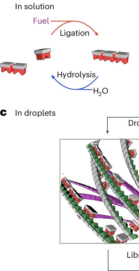 Open access visualization of Workflow, Illustration, Fuel, Monomers, Hydrolysis